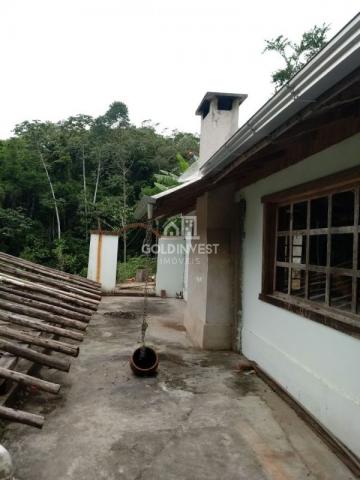 Sitio no Moura - Foto 8