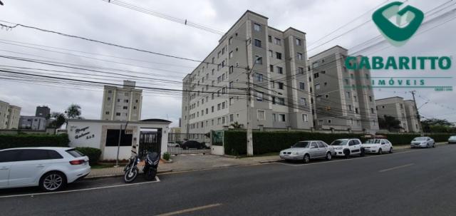 Apartamento à venda com 2 dormitórios em Pinheirinho, Curitiba cod:91116.001