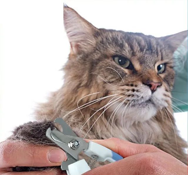 Alicate Tesoura Cortador de Unha de Gato, Cachorro - Cortador de Unha de Cães - Foto 2