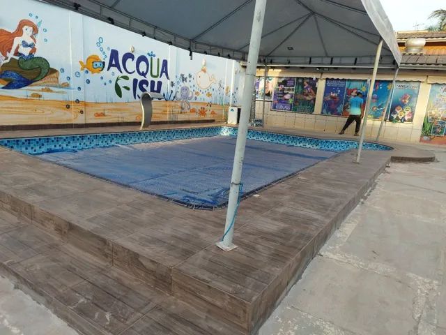 Azulejista  - Foto 2