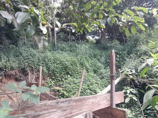 Ótima Oferta: Terreno Amplo Próximo à Natureza 6532 m2 - Foto 9