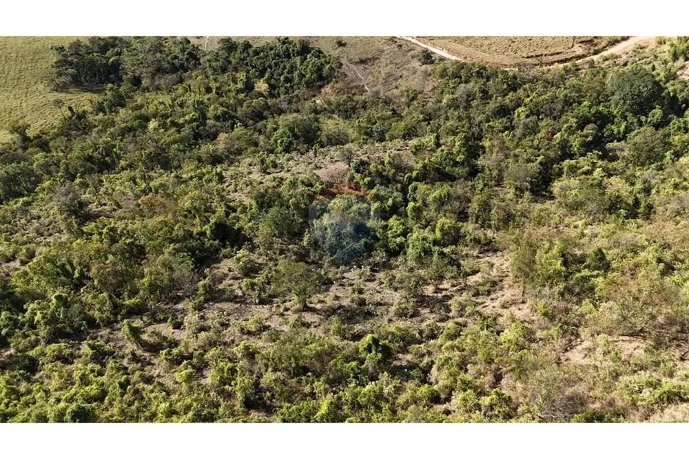 Gleba de Terras com 140000m² em Jacutinga/MG para investimento, plantio, criação de gados, - Foto 5