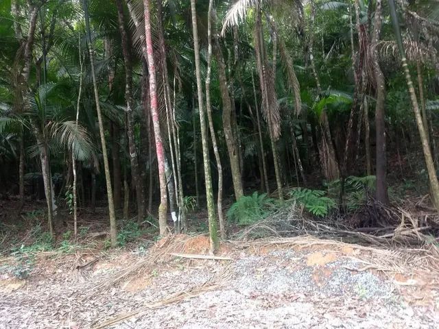 Terreno com cachoeira medindo 2 hectares  - Foto 7