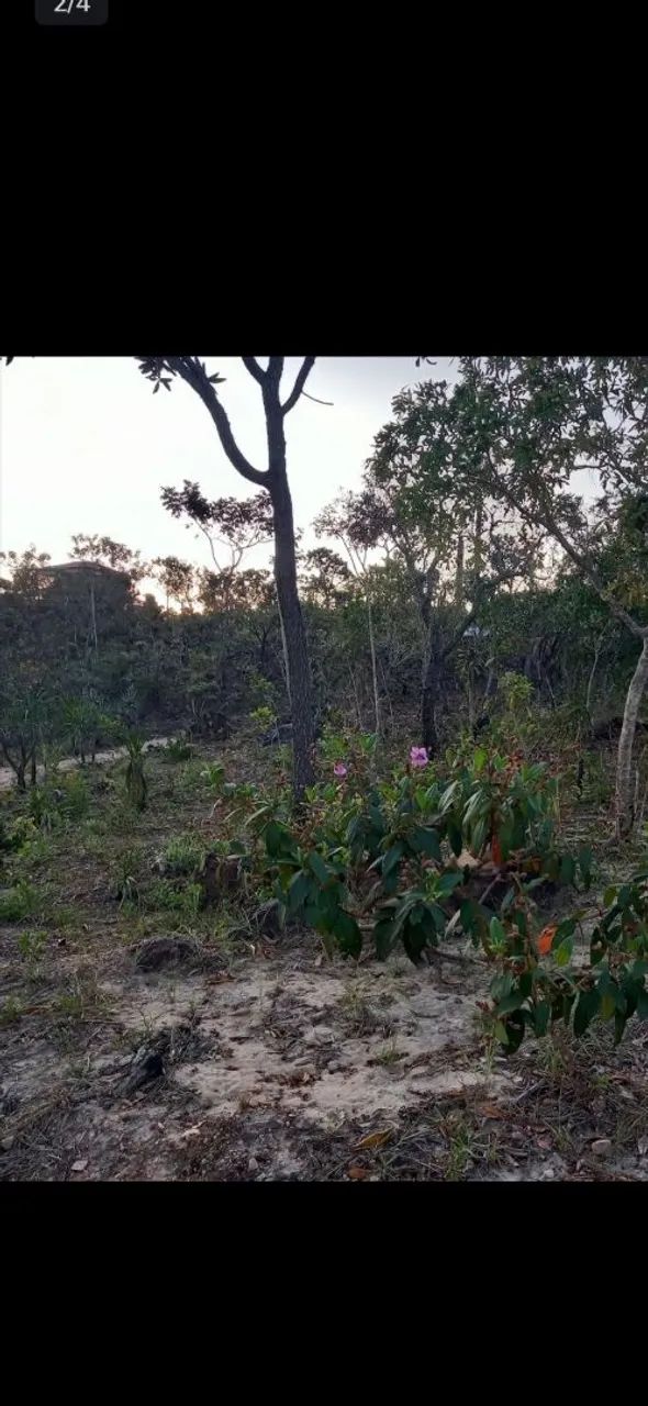 Foto - Alto Paraíso de Goiás - 