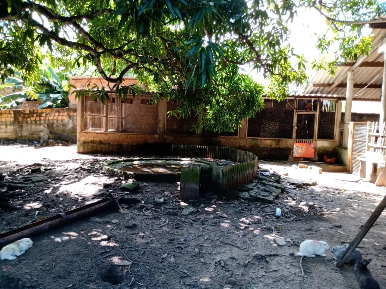 Sítio no Recanto dos Pássaros- Aracaju