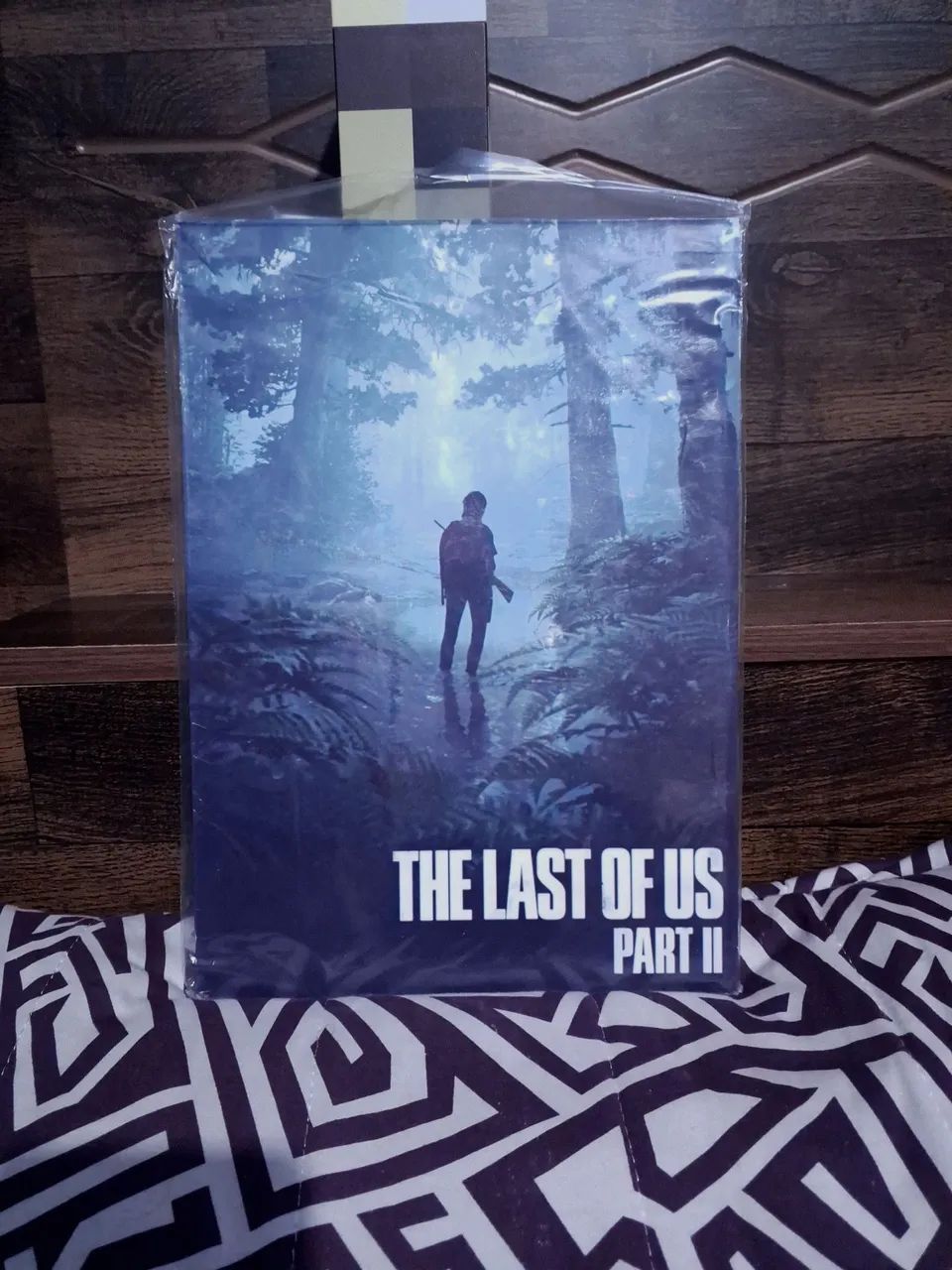 Quadro The Last of Us (modelo 3)