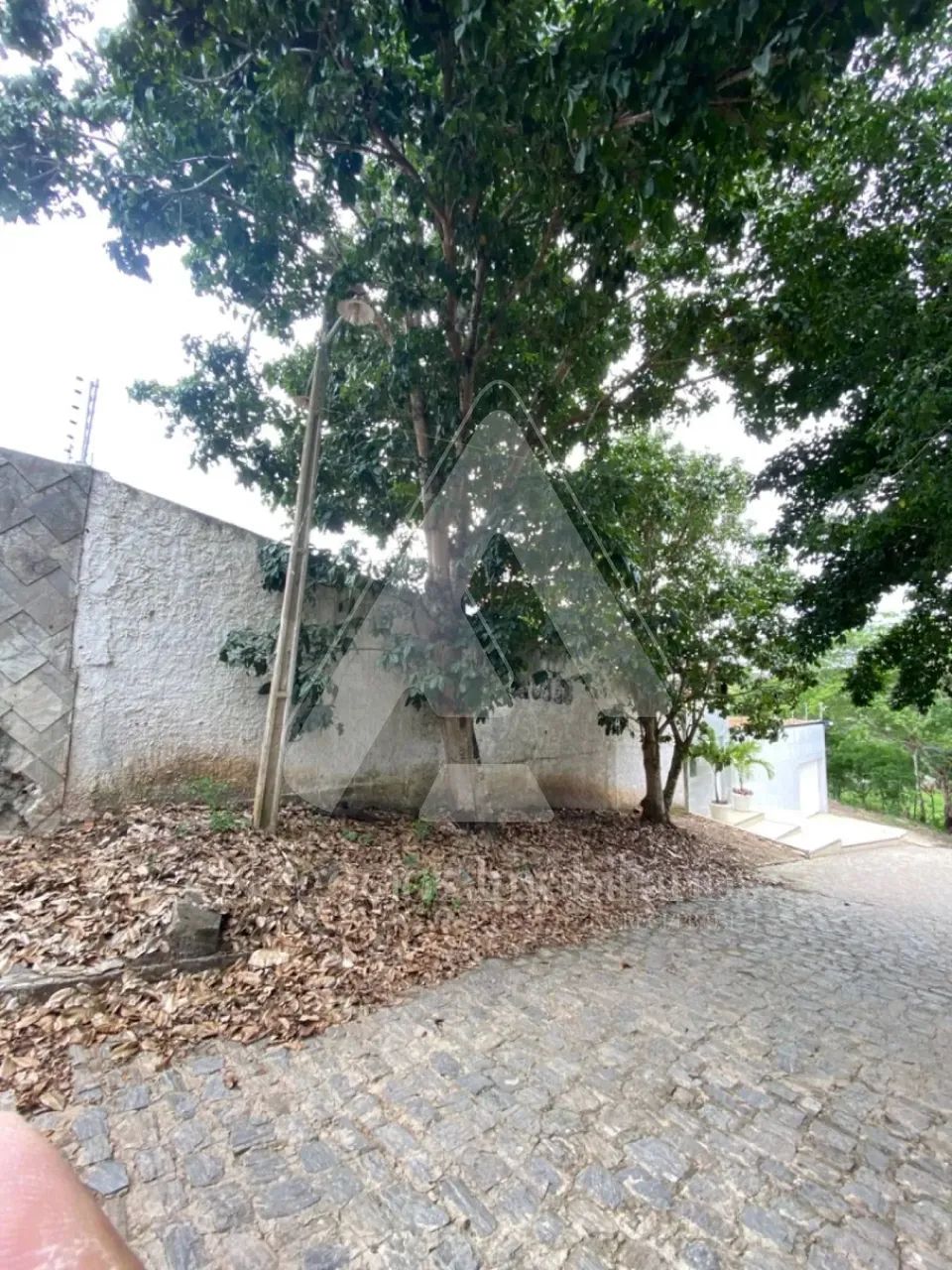 Lote no Juracy Palhano - Foto 3