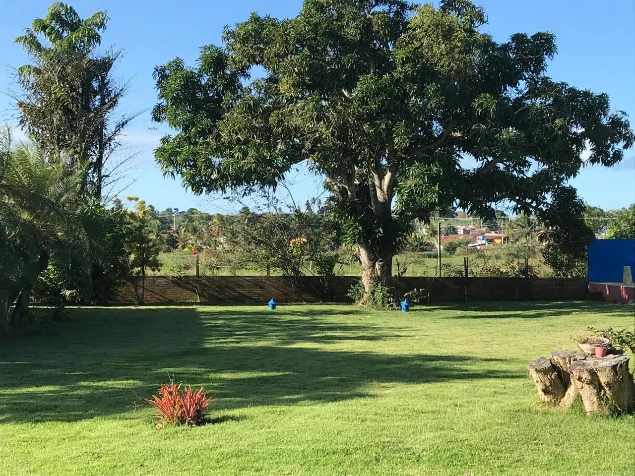 Fazenda / Chácara / Granja - Foto 2