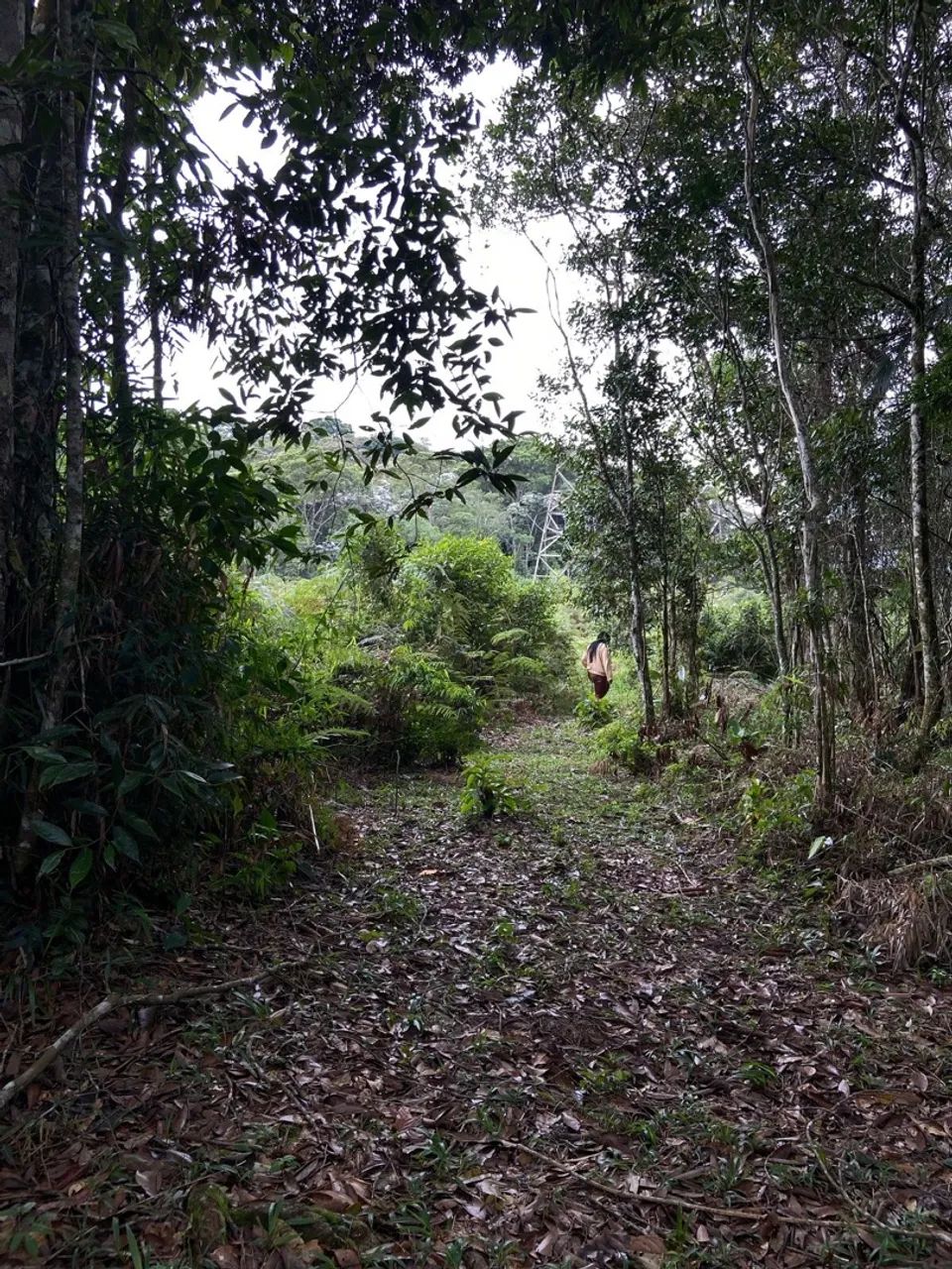 Lotes em São Lourenço da Serra  - Foto 2