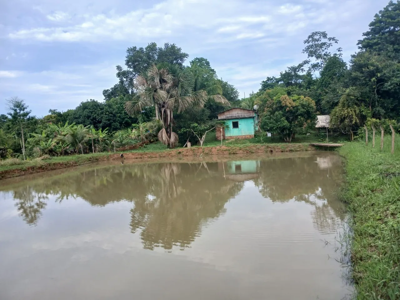CHÁCARA NA TRANSACREANA KM14