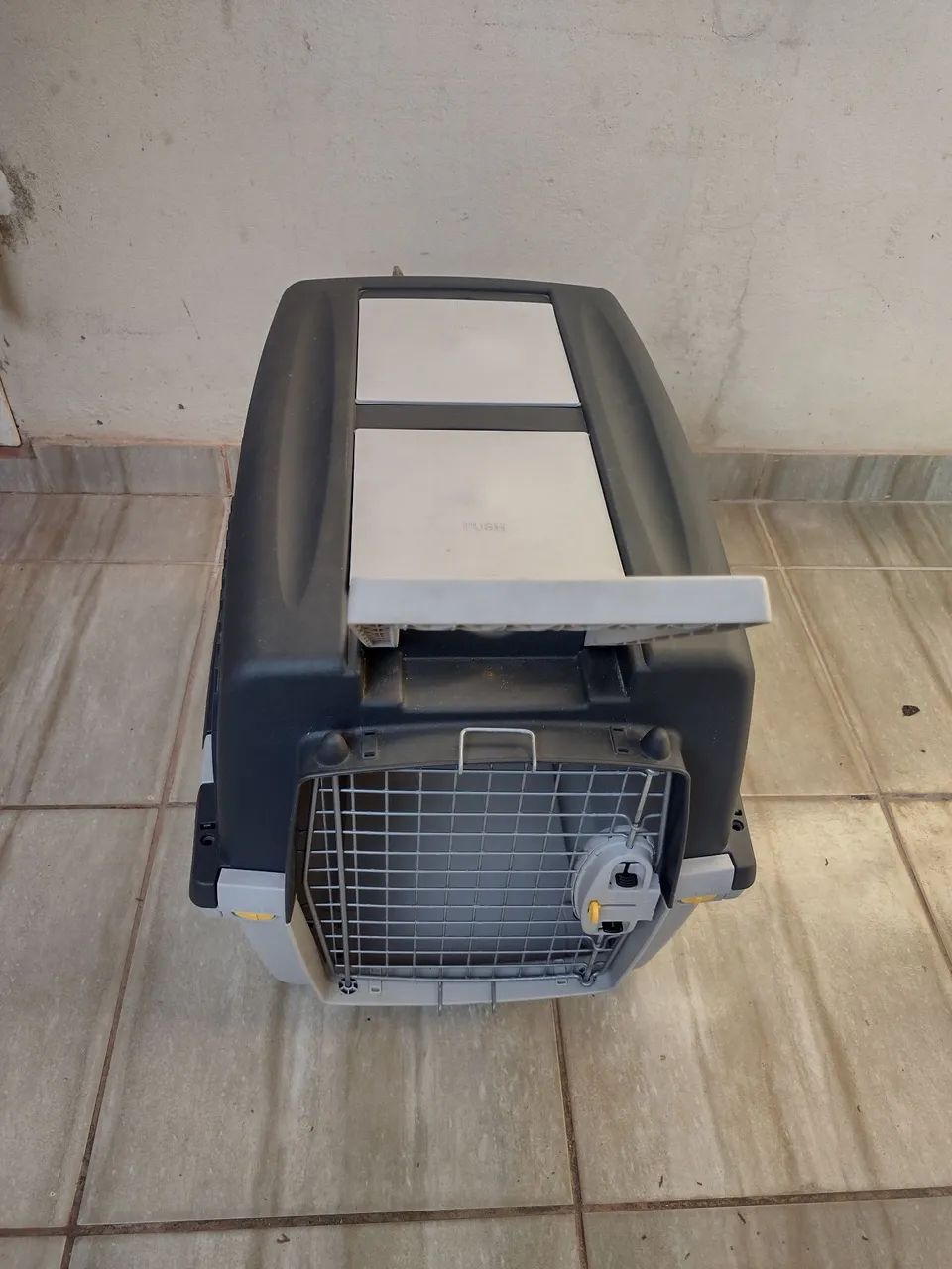 Pet64314061578883123