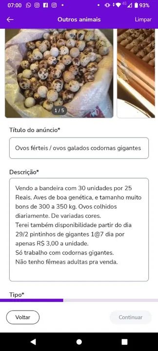 Ovos férteis / ovos galados codornas gigantes  - Foto 5