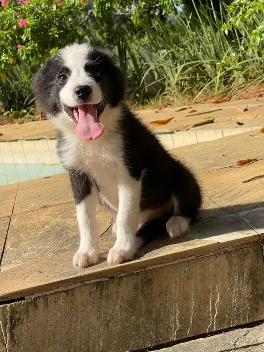 Bebês de Niterói  - Foto 4