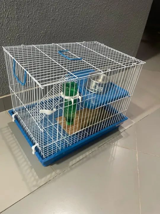 Gaiola para Roedores