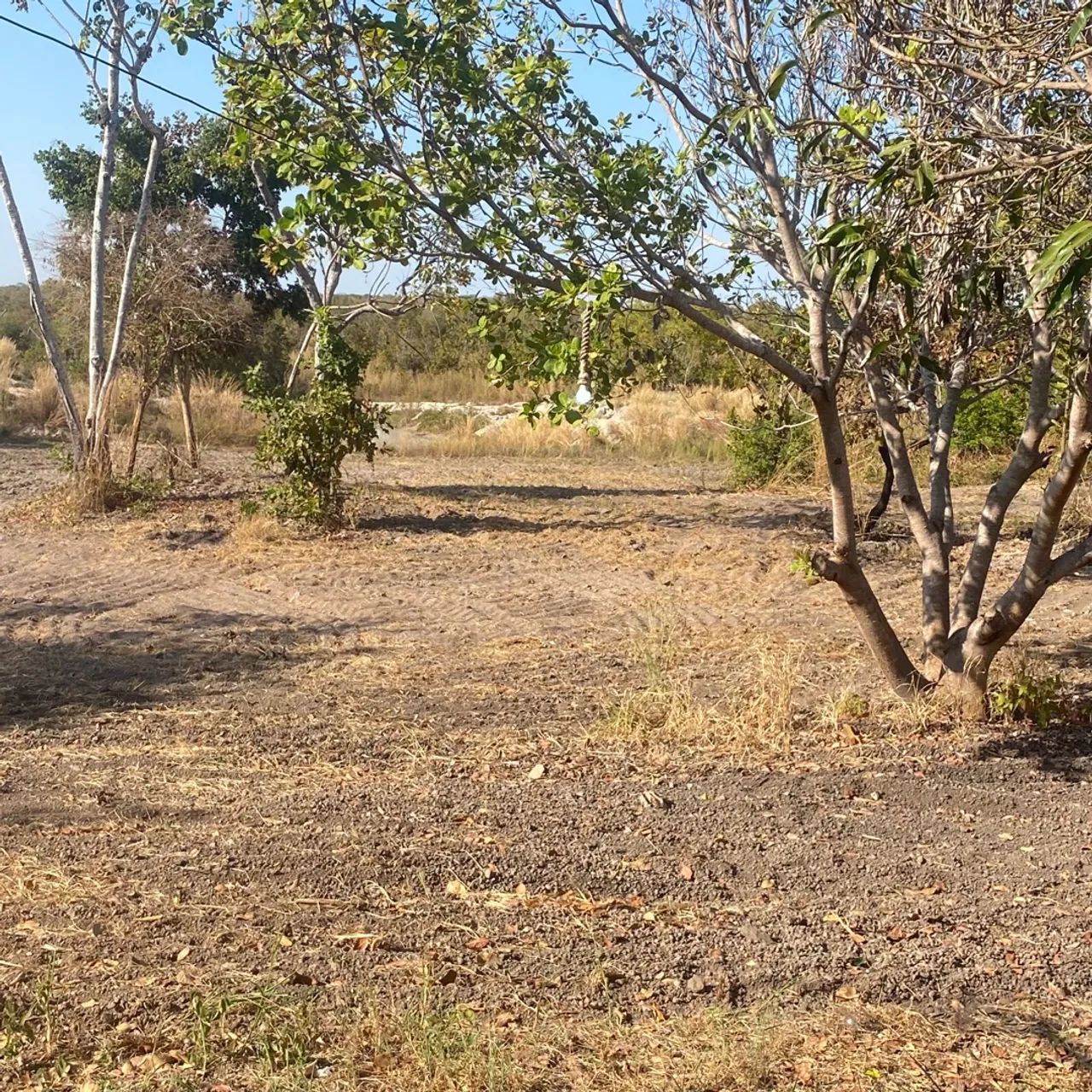     Sítio a 45 minutos do trevo do lagarto Sítio com represa grande e piscina  - Foto 9