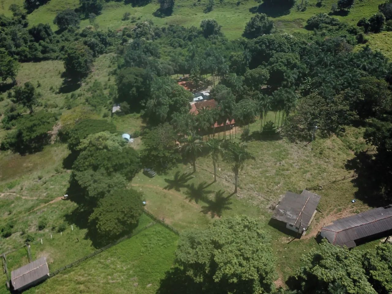 chacara de 8 alqueires em bela vista go 