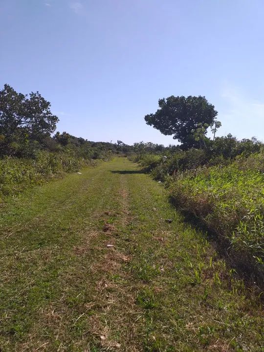 Terreno Ilha Comprida Balneário Monte Carlo  - Foto 2