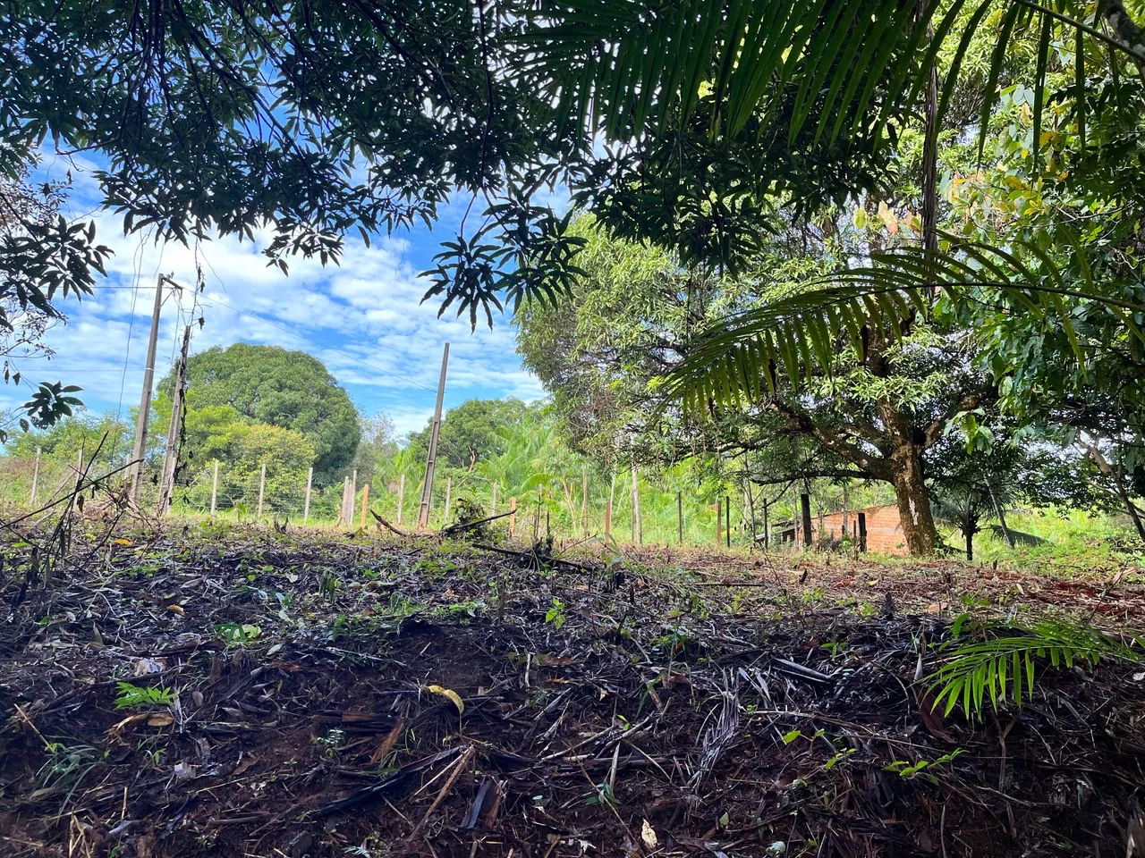 Foto - Ananindeua - Atalaia