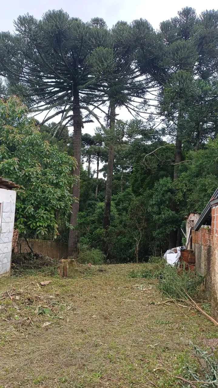 Imóvel para venda com 794 metros quadrados em Pinheirinho - Curitiba - PR