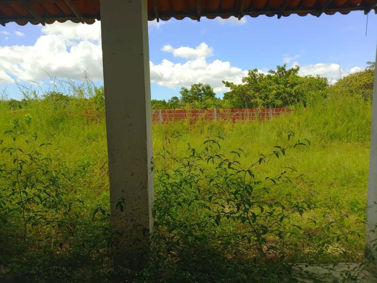EXCELENTE SÍTIO COMPLETO COM POÇO E MURADO PERTO DO MAL COZINHADO 46KM FORTALEZA  - Foto 5