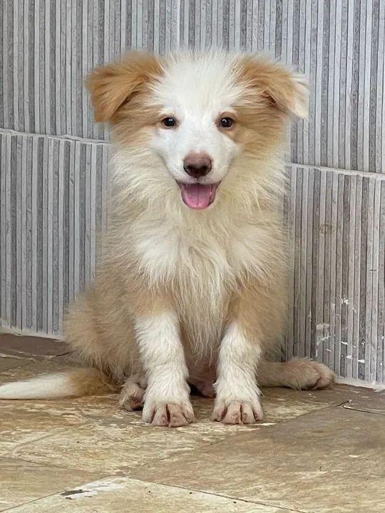 Bebês de Niterói  - Foto 2