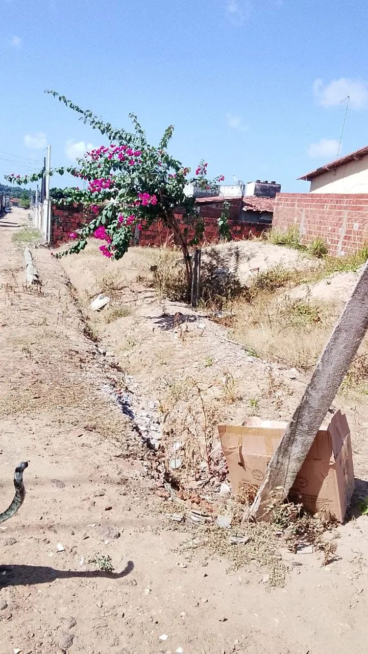Terreno de esquina  - Foto 5