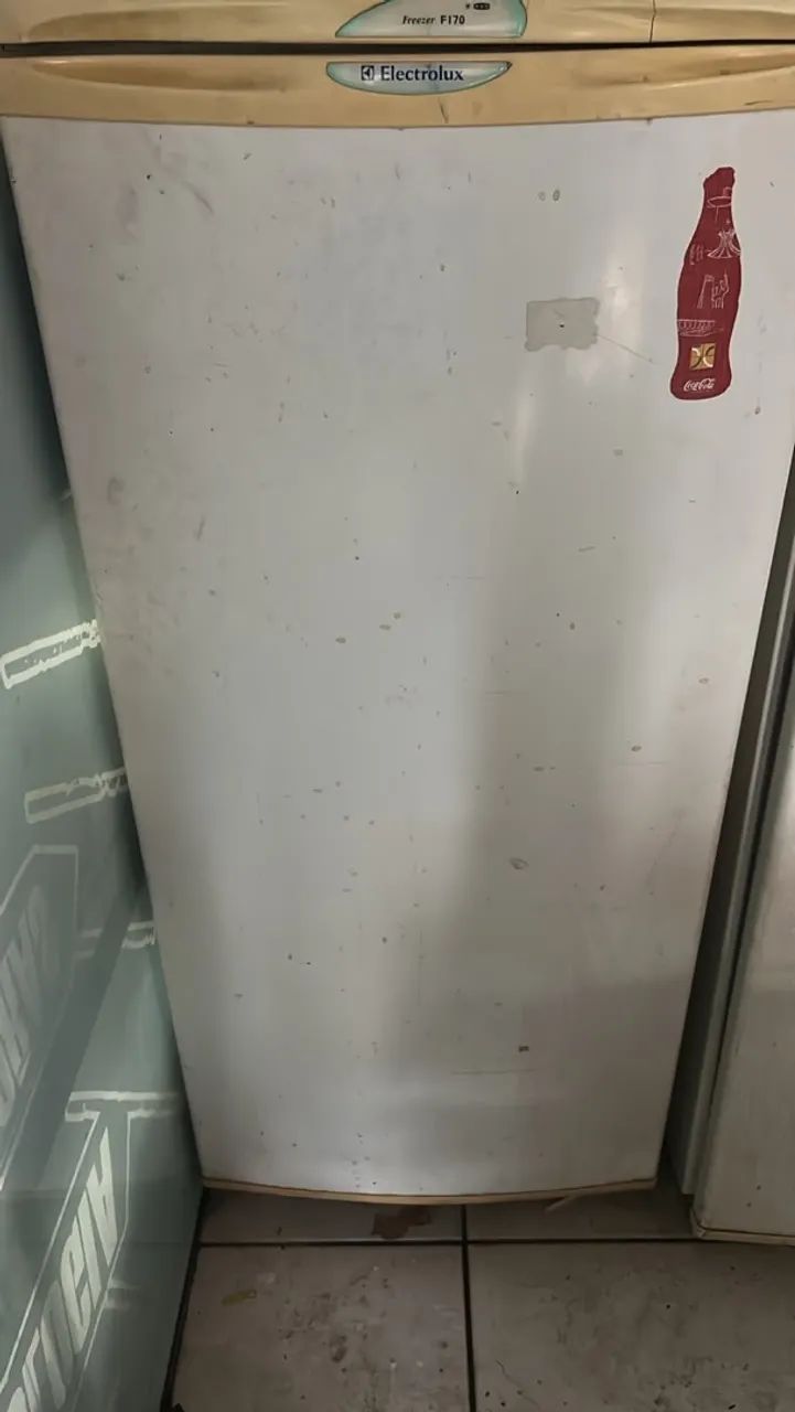 Freezer Electrolux 