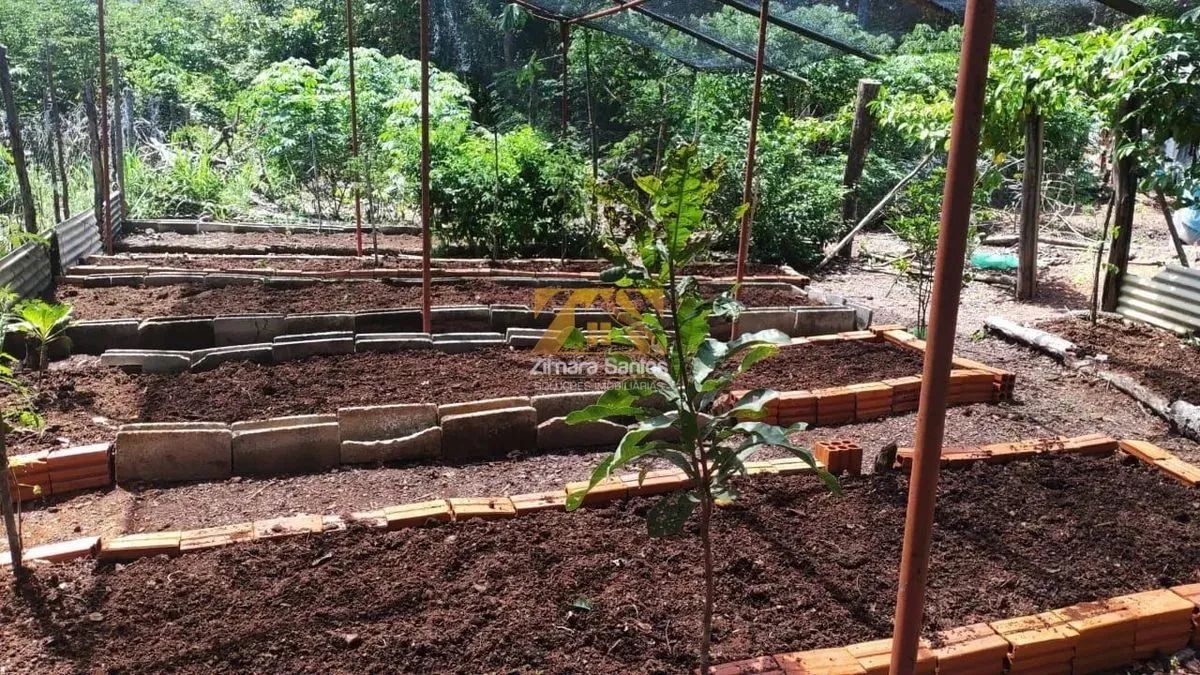 Chácara, 3 alqueires - Próximo a Aparecida do Rio Negro - Palmas/TO - Foto 12