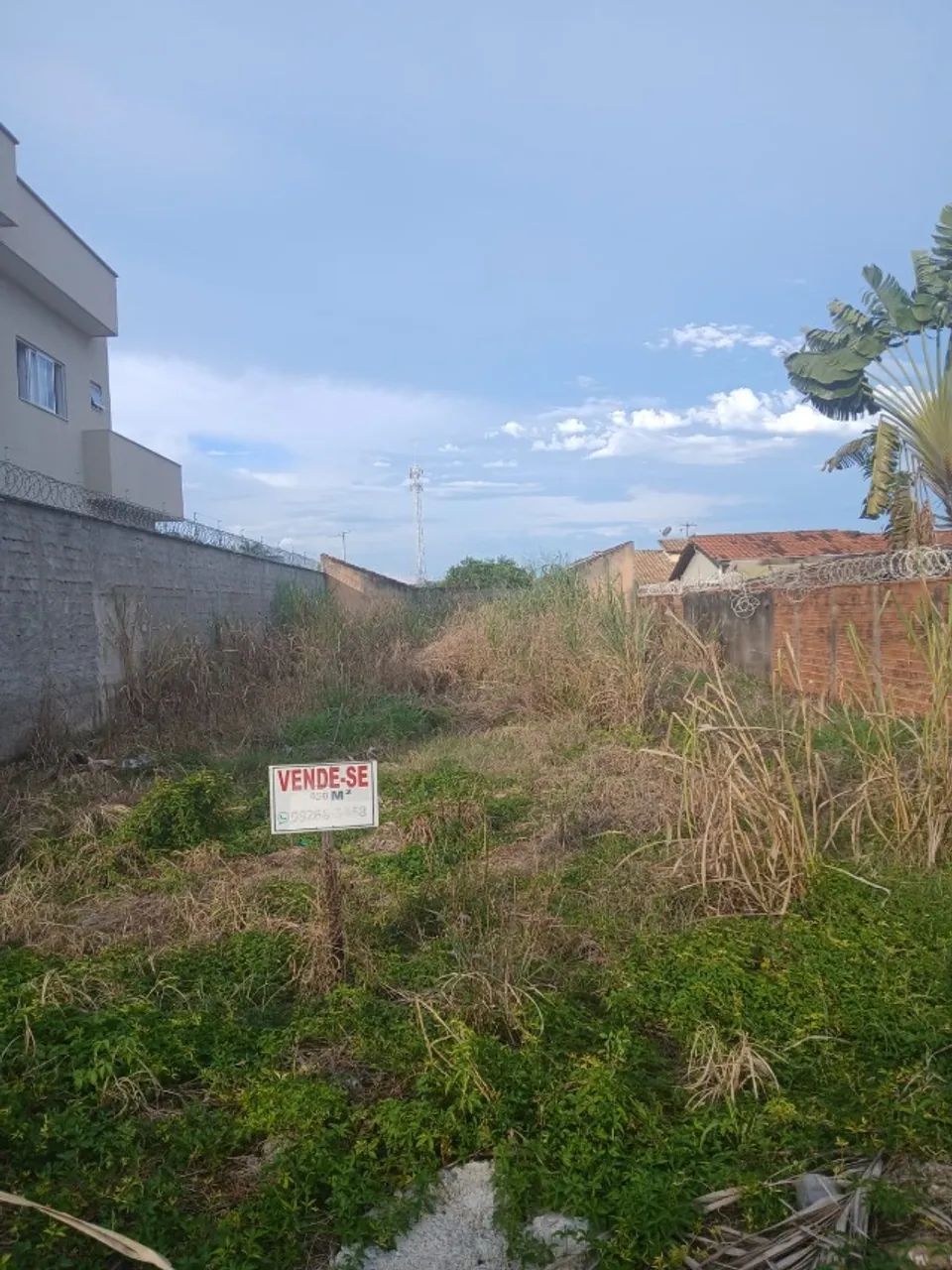 Foto - Goiânia - Goiânia 2