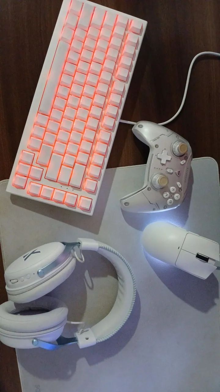 Pc gamer65690769671939124