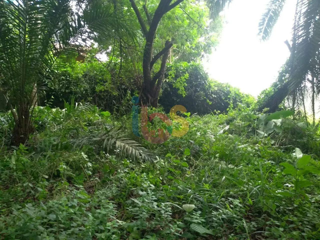 Vendo Terreno com Vista Mar em Arraial d'Ajuda - Foto 4