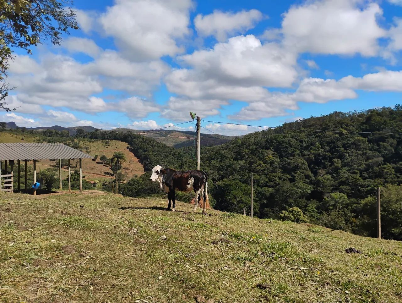 Terreno 20.000 m em Caeté.