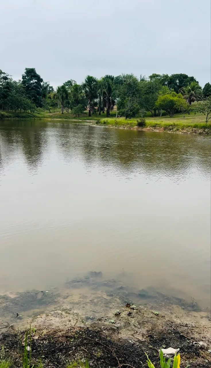 Linda chácara perto da cidade  - Foto 3