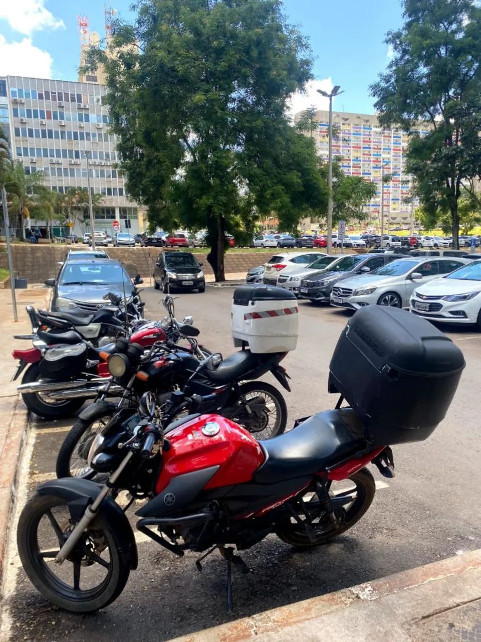Factor 2021 zera