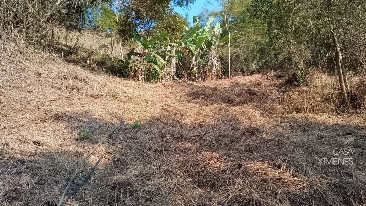 Terreno com 26.000 m² e vista indevassável em Petrópolis - Foto 4