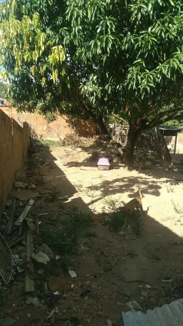 Casa no porto dantas - Foto 4
