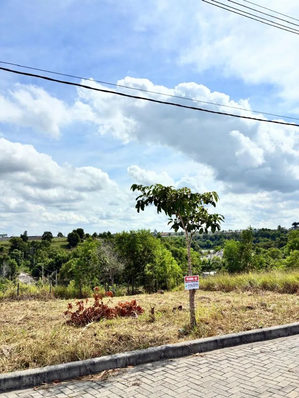 Lote em Enseada de Praia Grande. - Foto 3