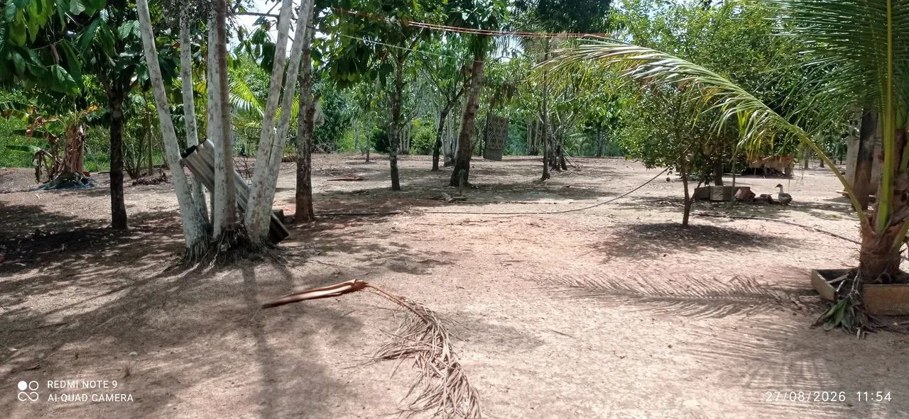 Vendo ou troco sítio no castanho  - Foto 3