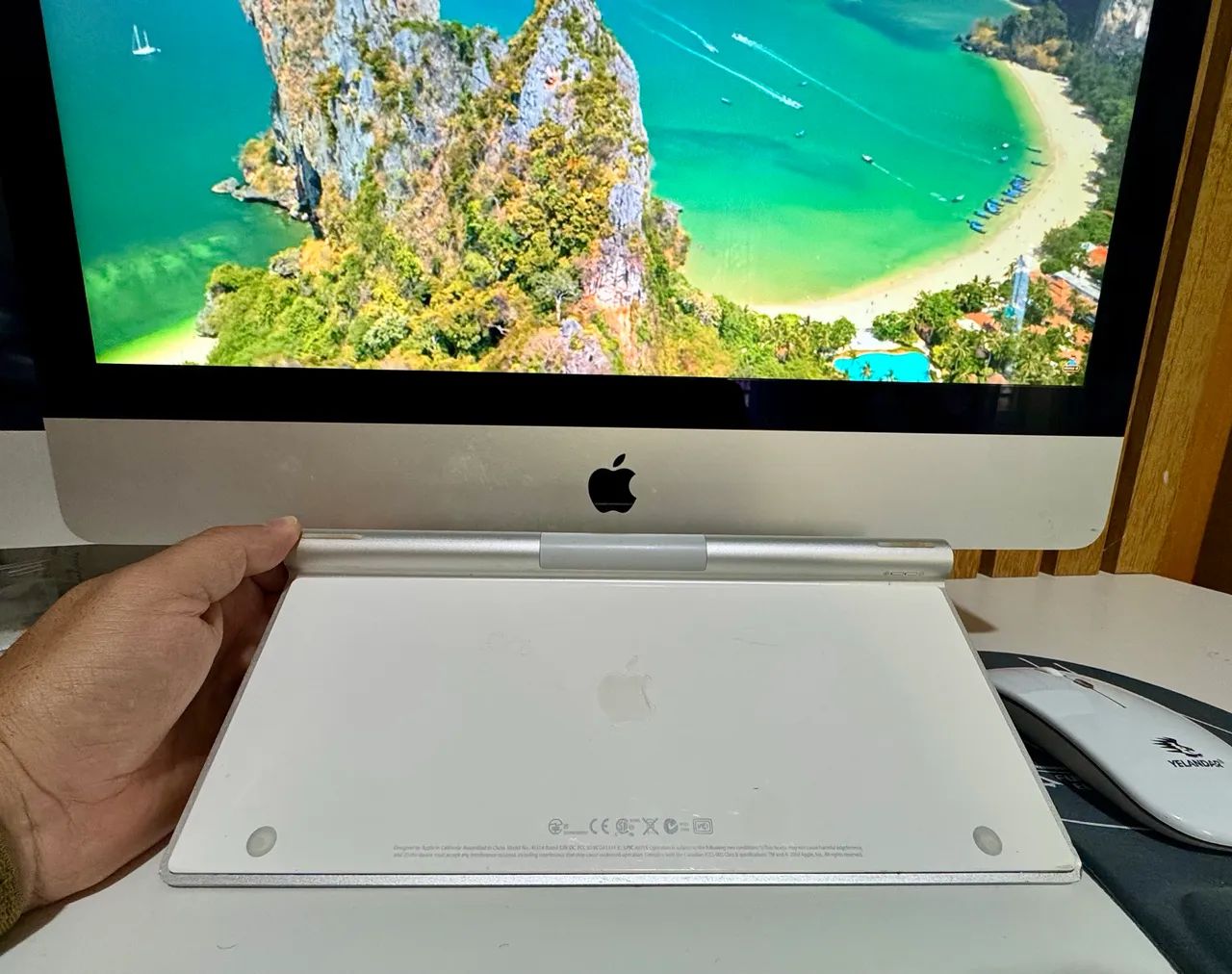 iMac Retina 4K 21,5 l Late 2015 | i5 | 8GB | SSD 480GB | Teclado