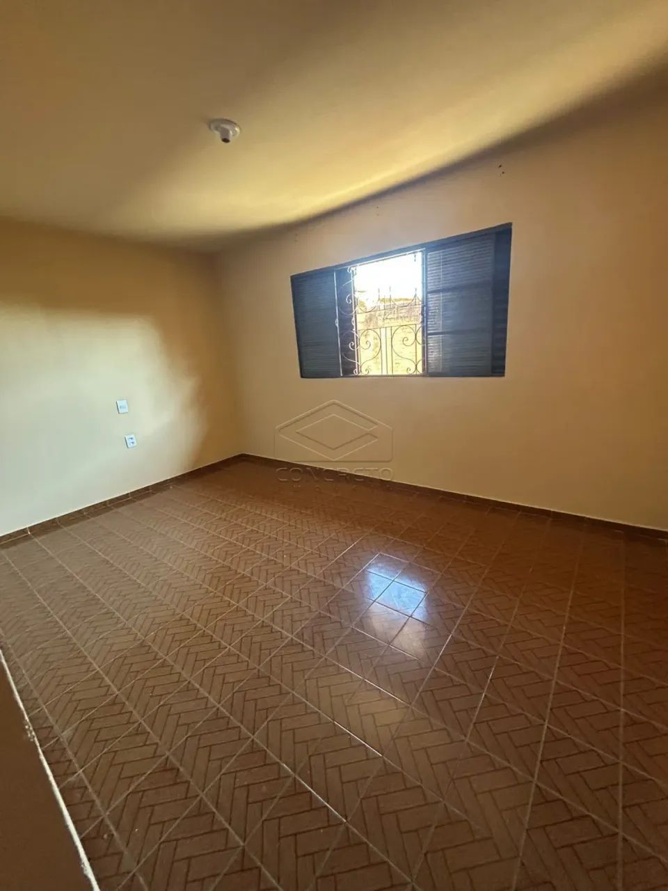 Oportunidade - Foto 3