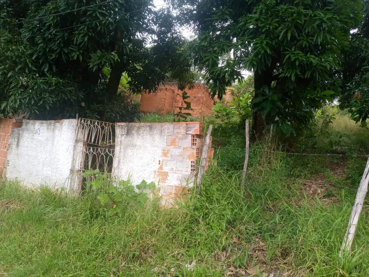 Terreno  - Foto 4