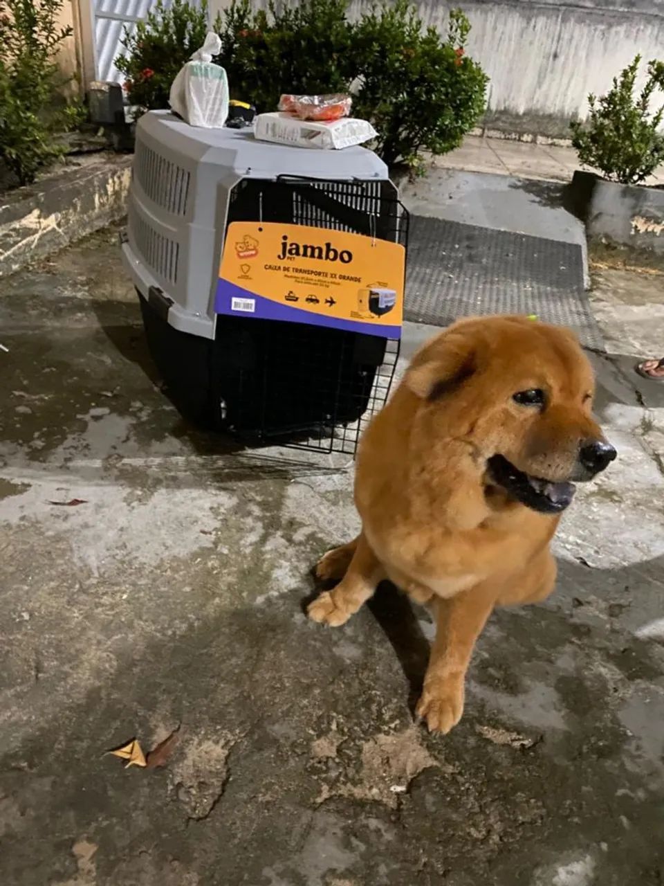 Caixa de transporte extra grande  - Foto 4