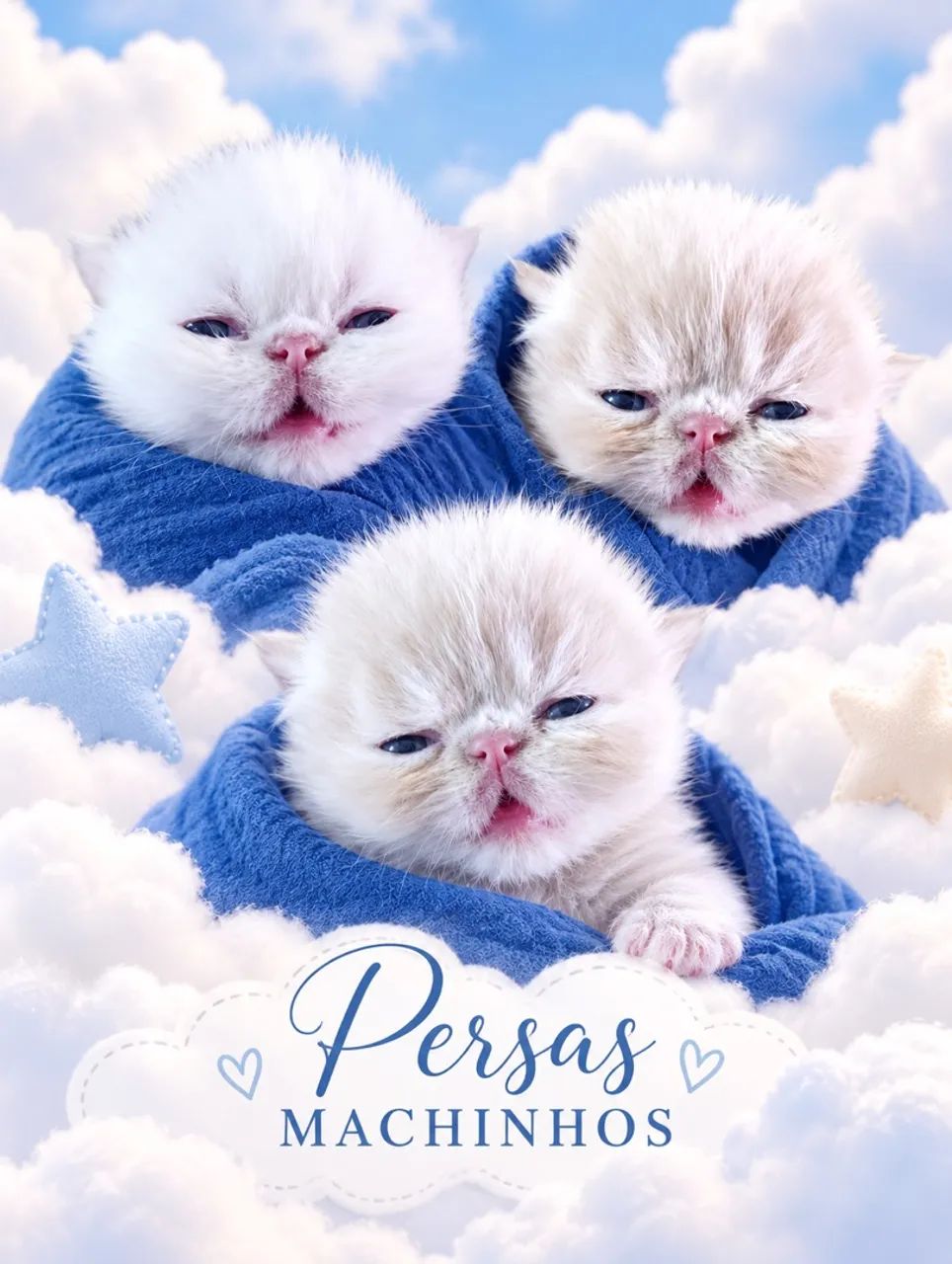 Persas machinhos 