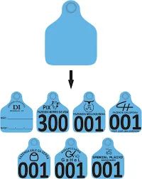 Brinco Bovino de Identificação Personalizado - Foto 2