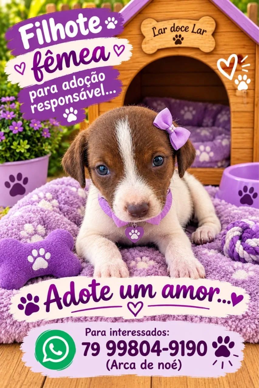 Adoção ? - Foto 5