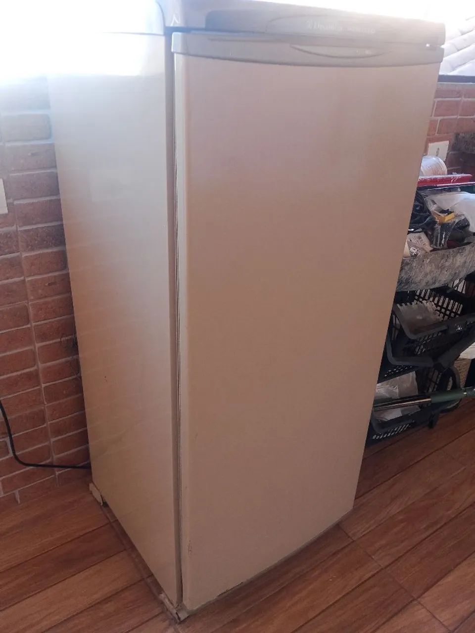 Freezer Eletrolux 
