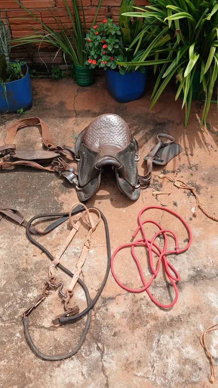 Vende-se cela completa só pegar e andar! - Foto 2