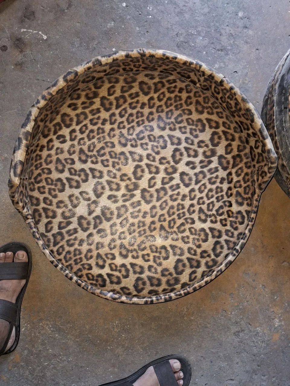 Cama de cachorro ? 