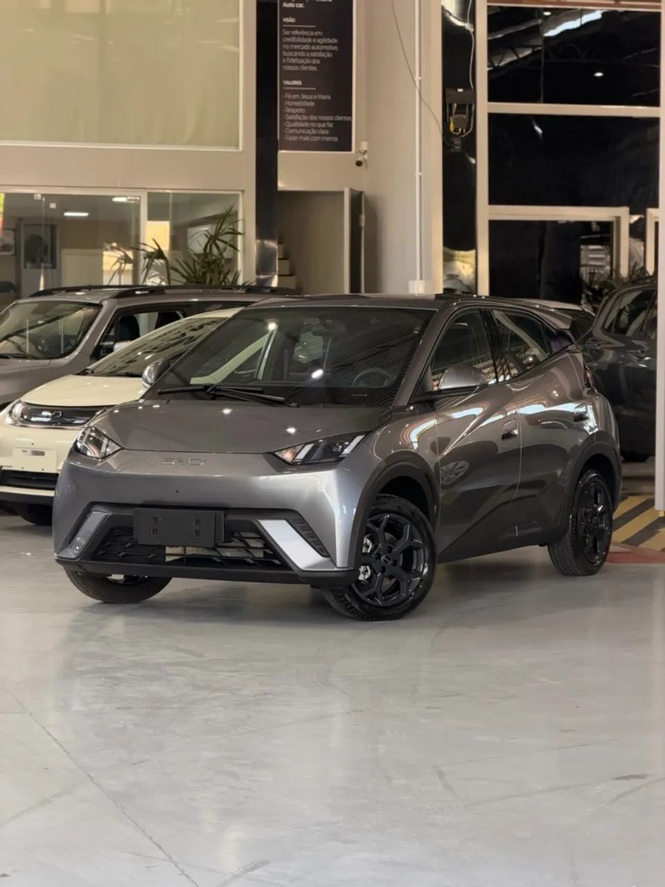 BYD Dolphin Mini (Elétrico) 2027