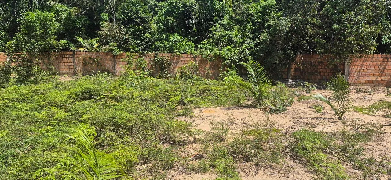Terreno em Paricatuba  - Foto 4